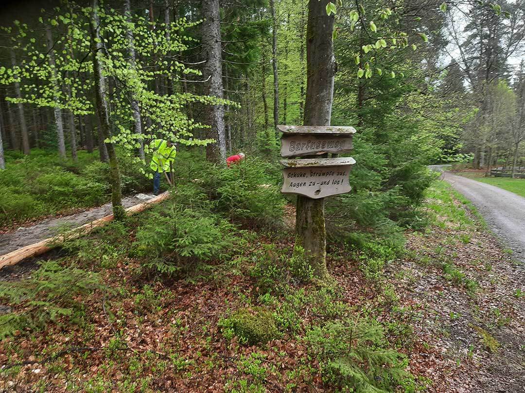 Holzweg_1