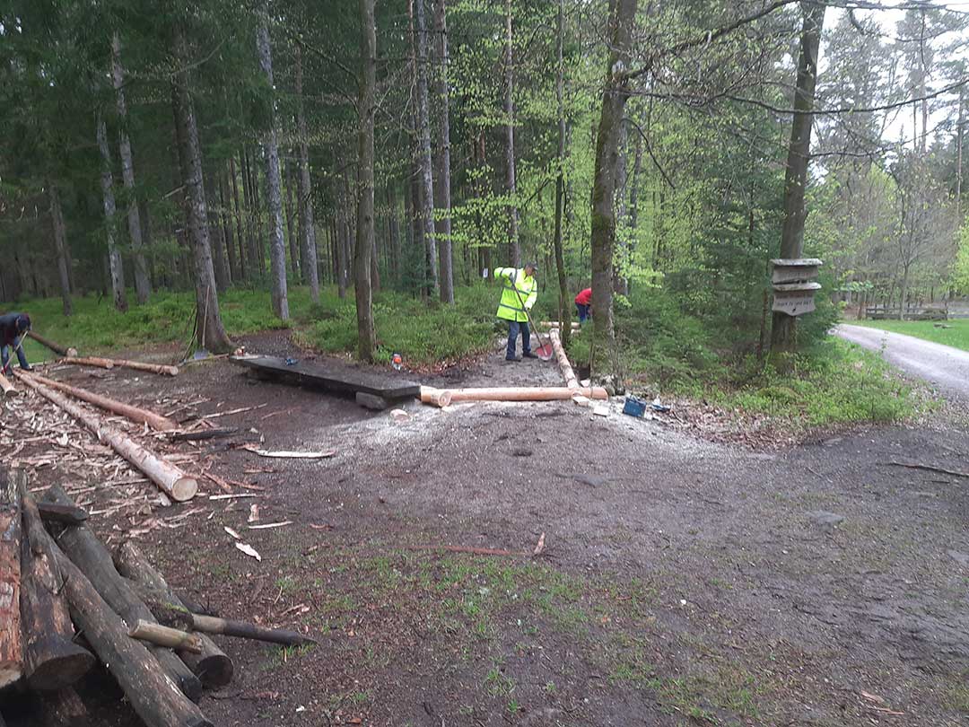 Holzweg_3